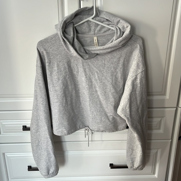 Aritzia Babaton Weekender Hoodie - Picture 4 of 5